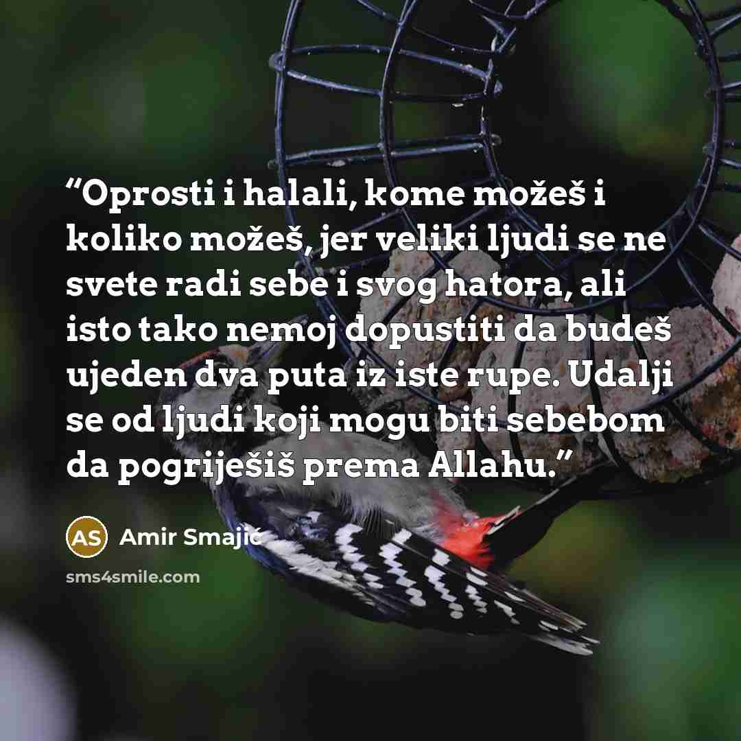 “Oprosti i halali, kome možeš i koliko možeš, jer veliki ljudi se ne svete radi sebe i svog hatora, ali isto tako nemoj dopustiti da budeš ujeden dva puta iz iste rupe. Udalji se od ljudi koji mogu biti sebebom da pogriješiš prema Allahu.” quote by Amir Smajić