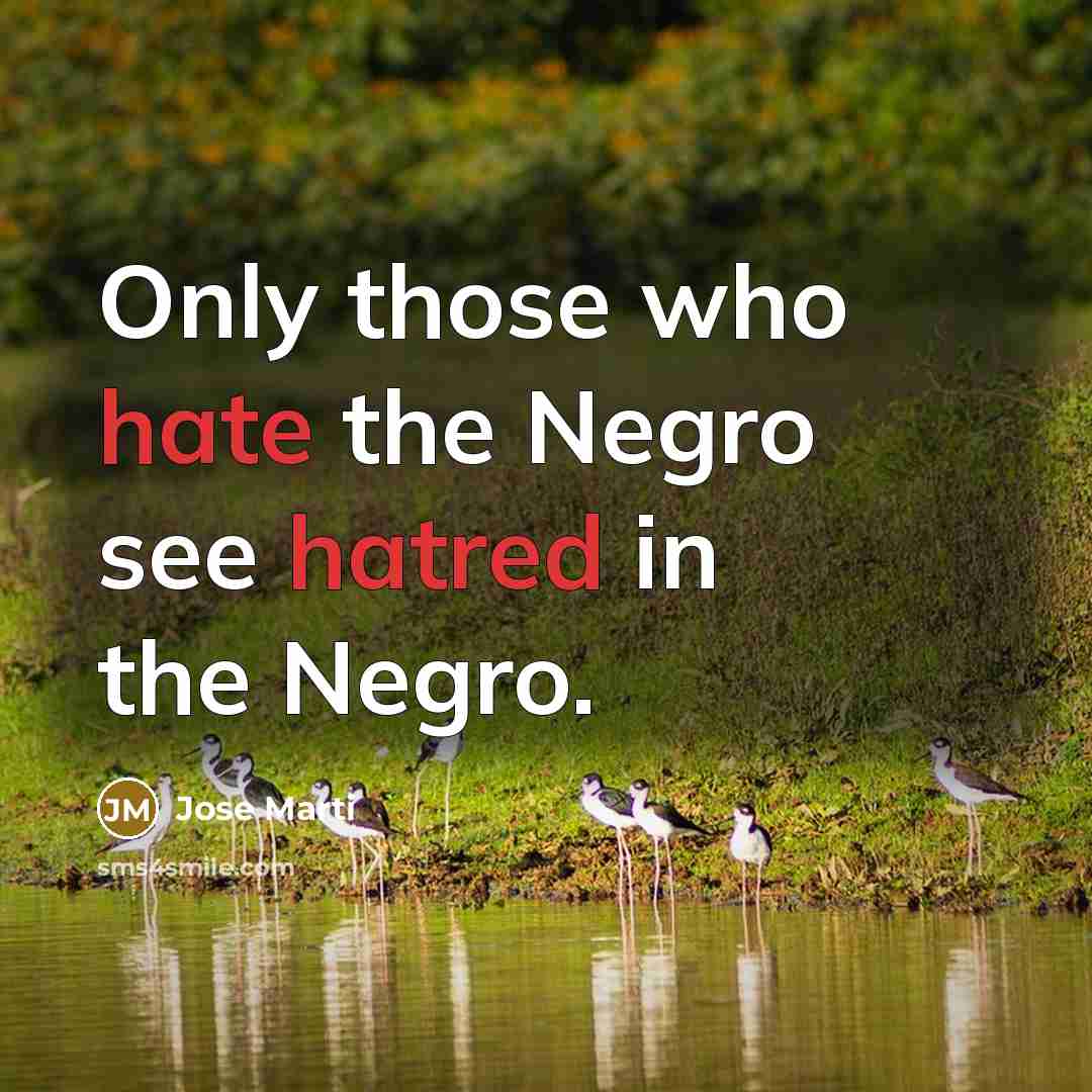 “Only those who hate the Negro see hatred in the Negro.” quote by Jose Marti