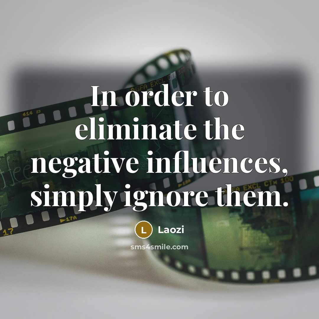“In order to eliminate the negative influences, simply ignore them.” quote by Laozi