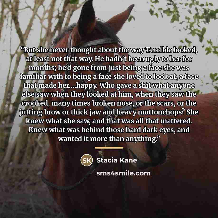 “But she never thought about the way Terrible looked, at least not that way. He hadn’t been ugly to her for months; he’d gone from just being a face she was familiar with to being a face she loved to look at, a face that made her….happy. Who gave a shit what anyone else saw when they looked at him…” quote by Stacia Kane