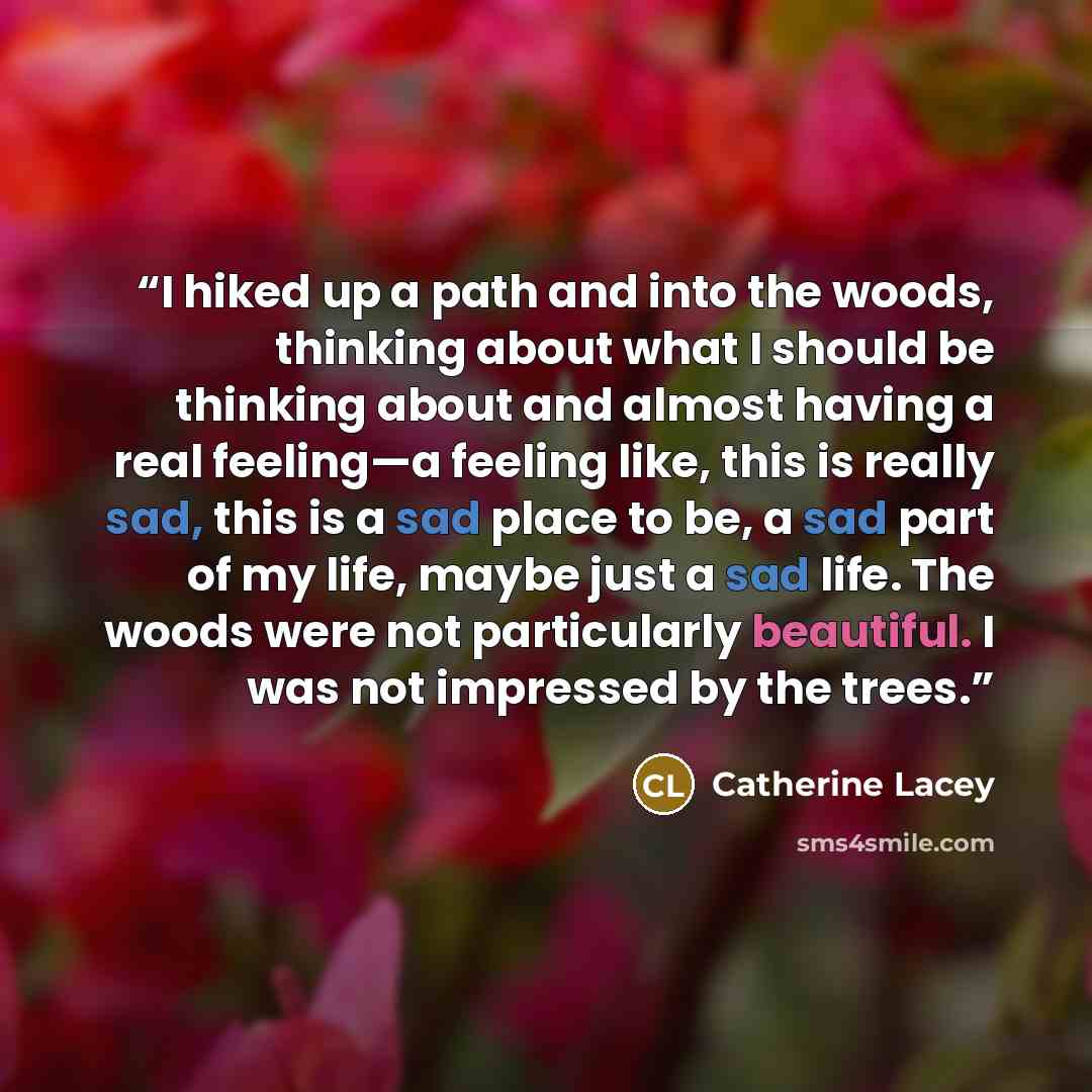 “I hiked up a path and into the woods, thinking about what I should be thinking about and almost having a real feeling—a feeling like, this is really sad, this is a sad place to be, a sad part of my life, maybe just a sad life. The woods were not particularly beautiful. I was not impressed by the…” quote by Catherine Lacey