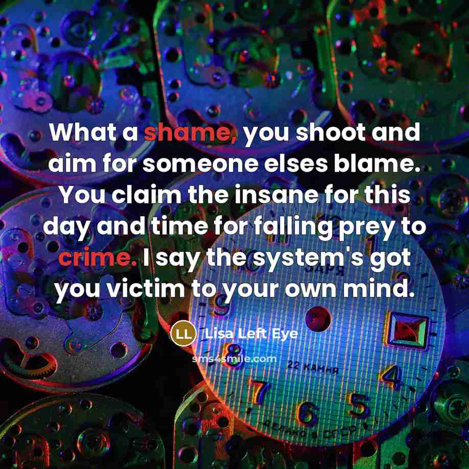 “What a shame, you shoot and aim for someone elses blame. You claim the insane for this day and time for falling prey to crime. I say the system's got you victim to your own mind.” quote by Lisa Left Eye