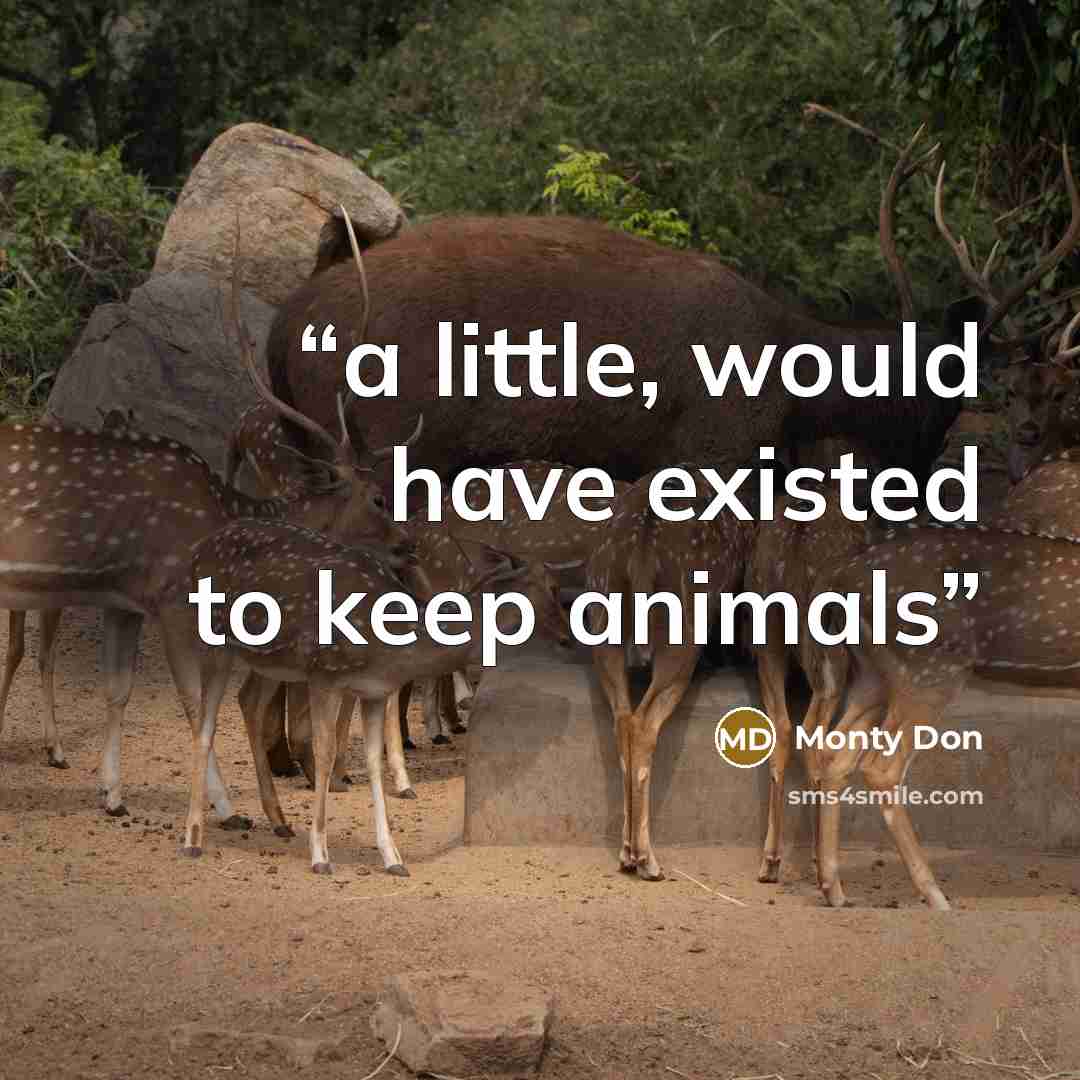“a little, would have existed to keep animals” quote by Monty Don