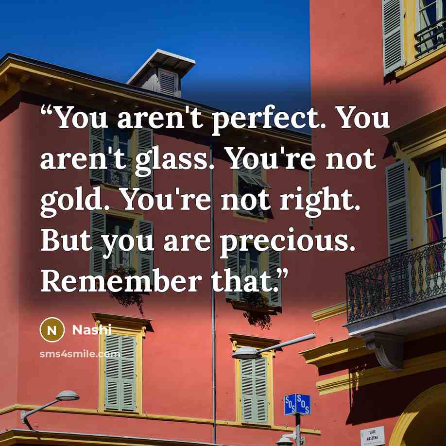 “You aren't perfect. You aren't glass. You're not gold. You're not right. But you are precious. Remember that.” quote by Nashi