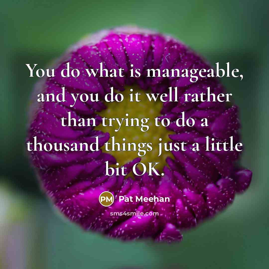 “You do what is manageable, and you do it well rather than trying to do a thousand things just a little bit OK.” quote by Pat Meehan