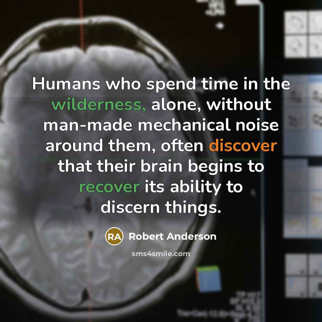 “Humans who spend time in the wilderness, alone, without man-made mechanical noise around them, often discover that their brain begins to recover its ability to discern things.” quote by Robert Anderson