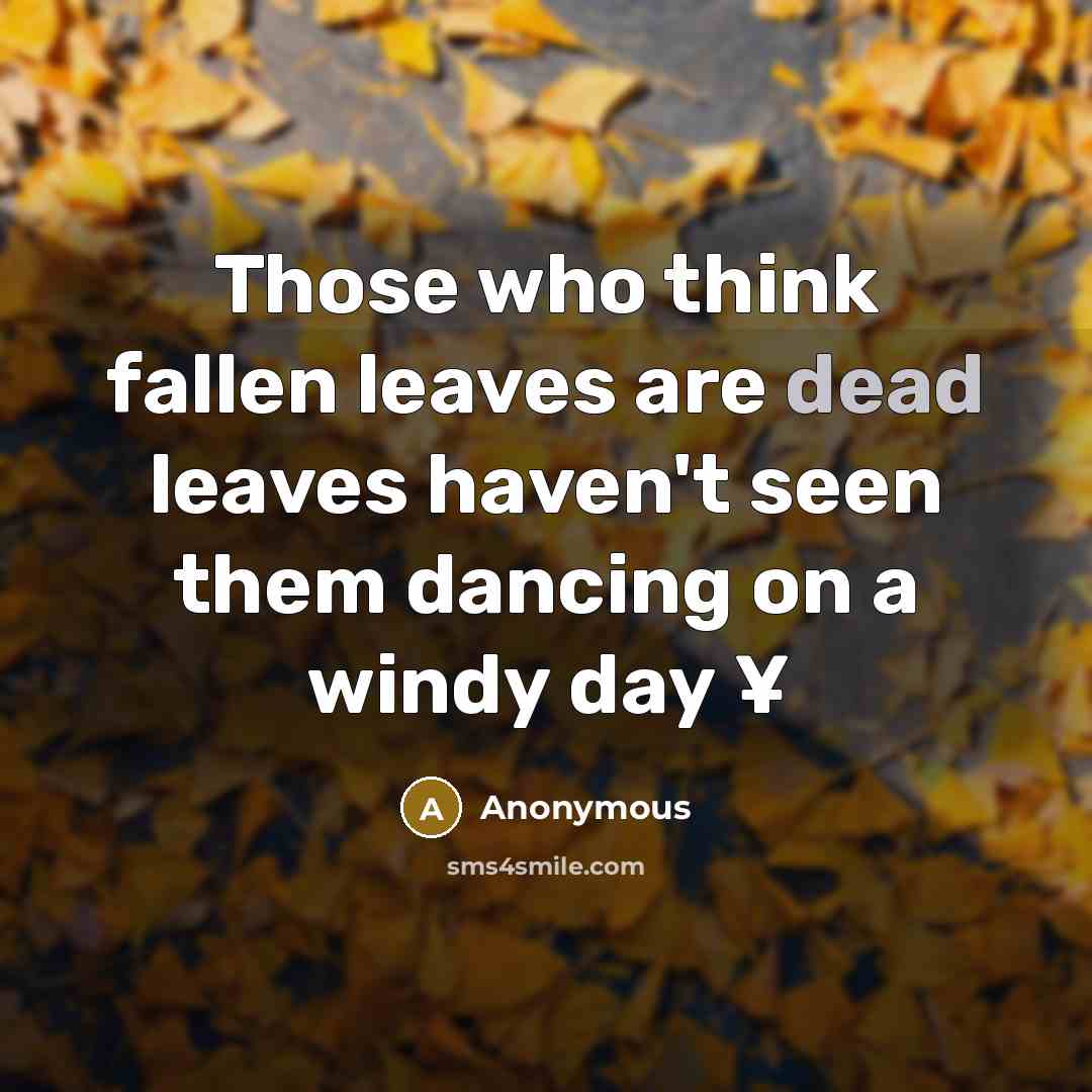 “Those who think fallen leaves are dead leaves haven't seen them dancing on a windy day ¥” quote by Anonymous