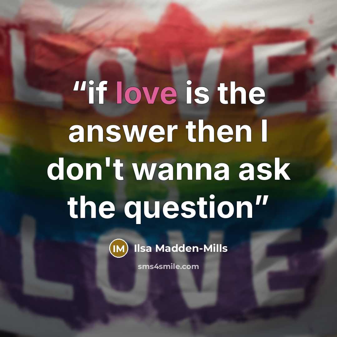 “if love is the answer then I don't wanna ask the question” quote by Ilsa Madden-Mills