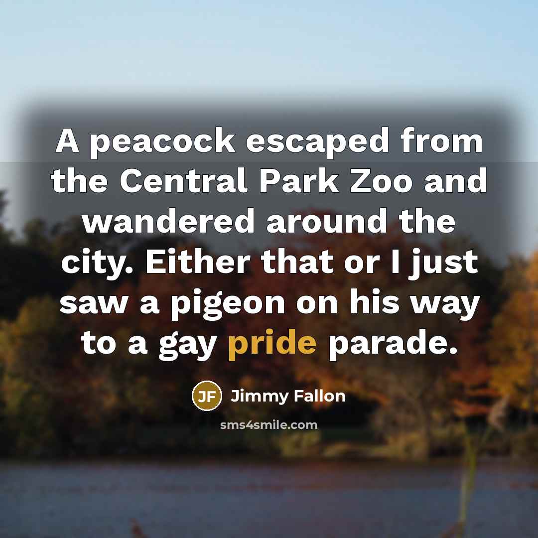 “A peacock escaped from the Central Park Zoo and wandered around the city. Either that or I just saw a pigeon on his way to a gay pride parade.” quote by Jimmy Fallon