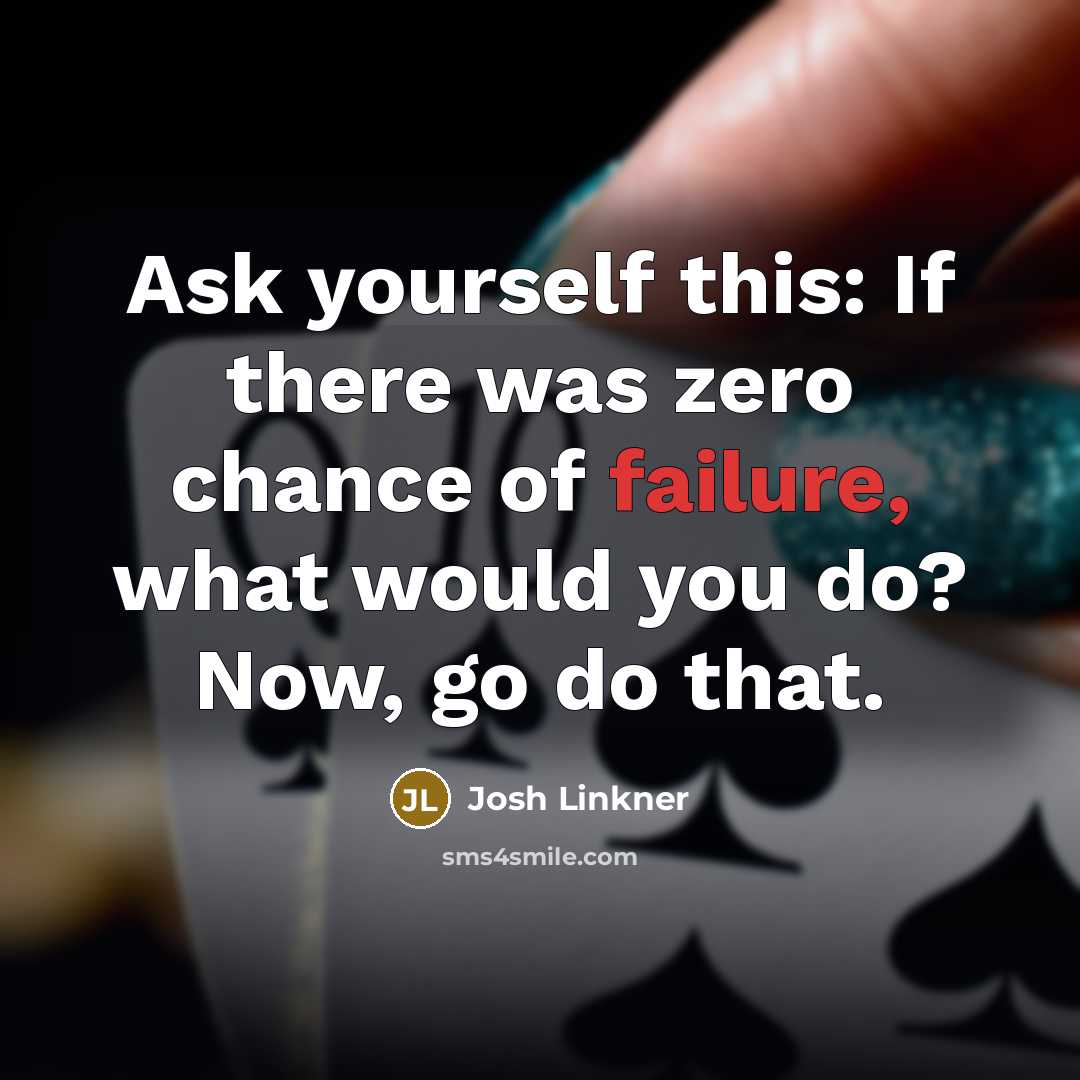 “Ask yourself this: If there was zero chance of failure, what would you do? Now, go do that.” quote by Josh Linkner