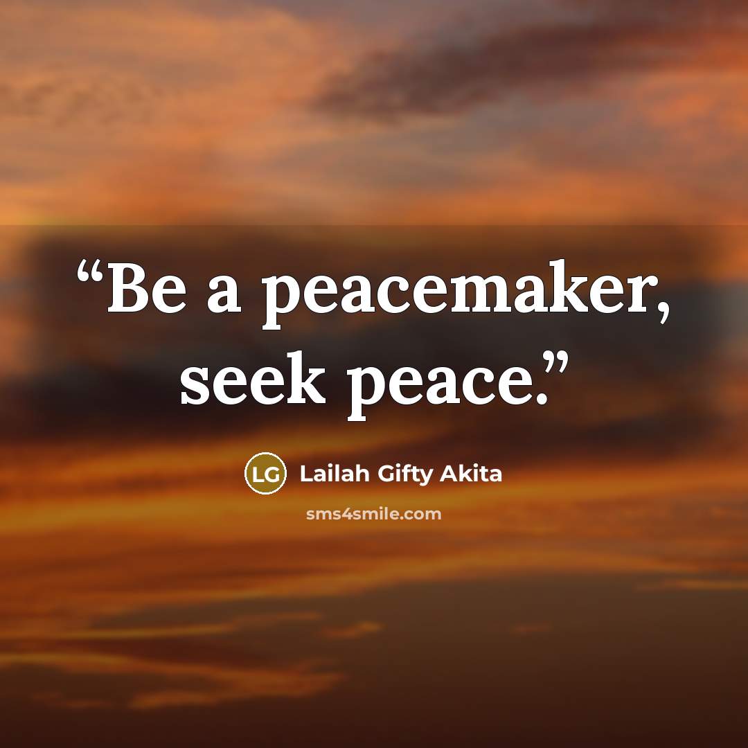 “Be a peacemaker, seek peace.” quote by Lailah Gifty Akita