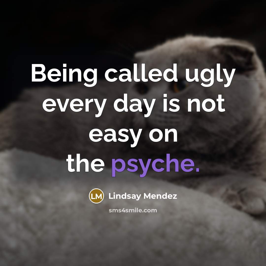 “Being called ugly every day is not easy on the psyche.” quote by Lindsay Mendez