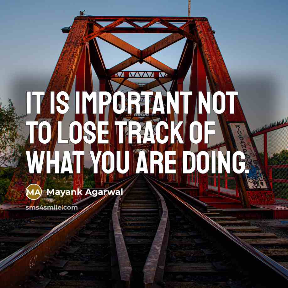 “It is important not to lose track of what you are doing.” quote by Mayank Agarwal