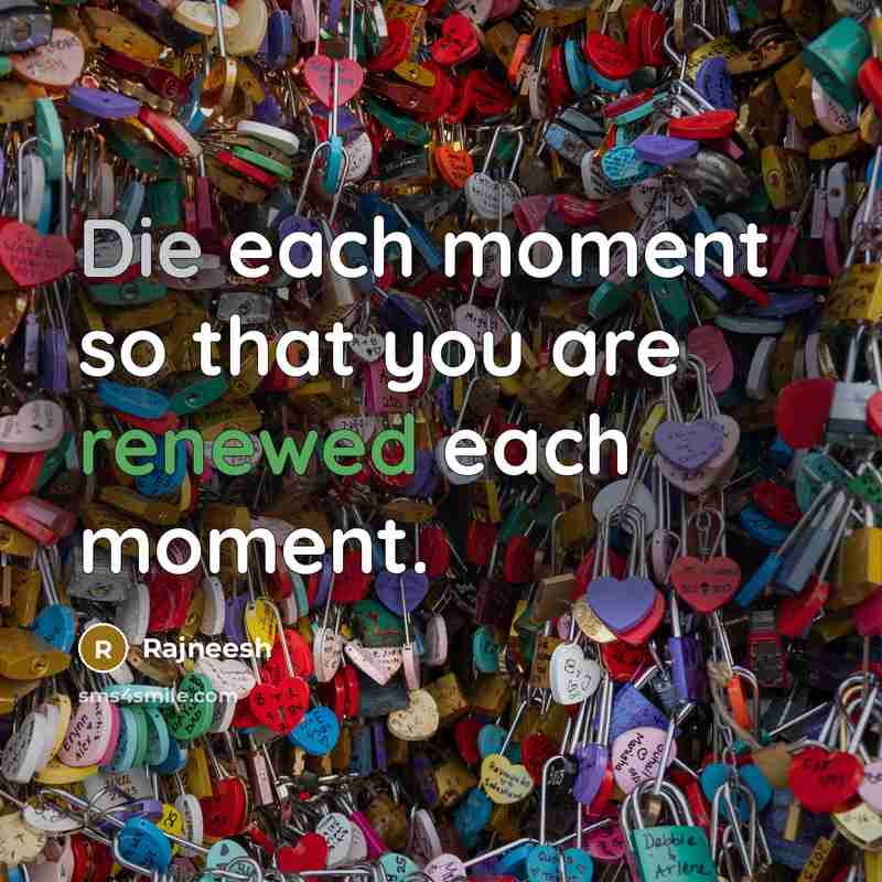 “Die each moment so that you are renewed each moment.” quote by Rajneesh
