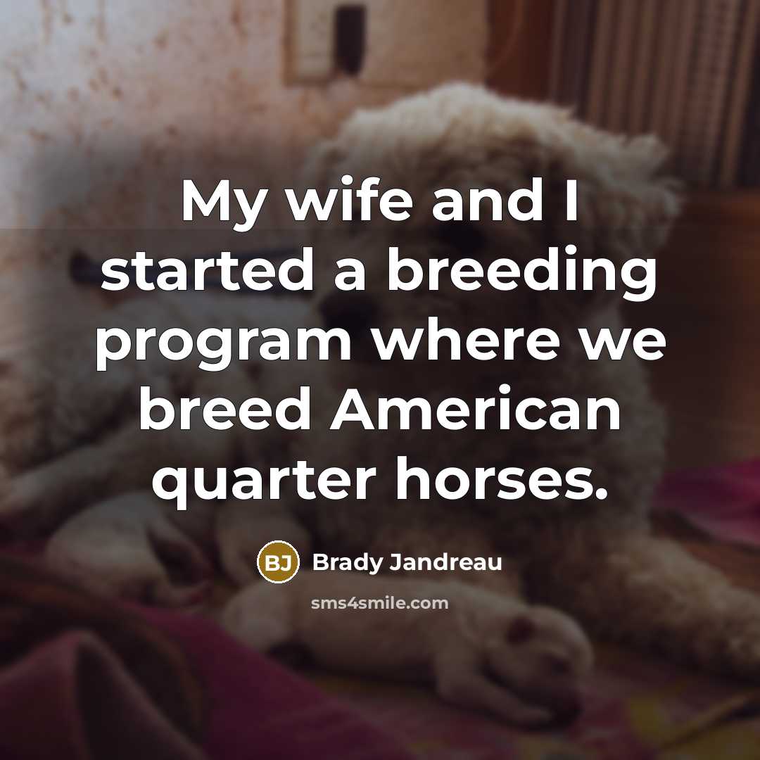 “My wife and I started a breeding program where we breed American quarter horses.” quote by Brady Jandreau