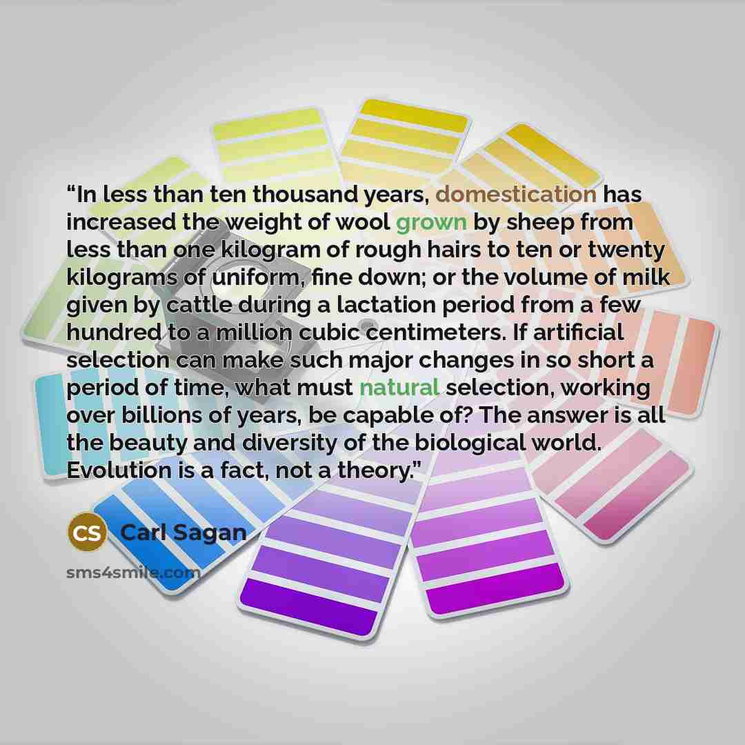 “In less than ten thousand years, domestication has increased the weight of wool grown by sheep from less than one kilogram of rough hairs to ten or twenty kilograms of uniform, fine down; or the volume of milk given by cattle during a lactation period from a few hundred to a million cubic…” quote by Carl Sagan