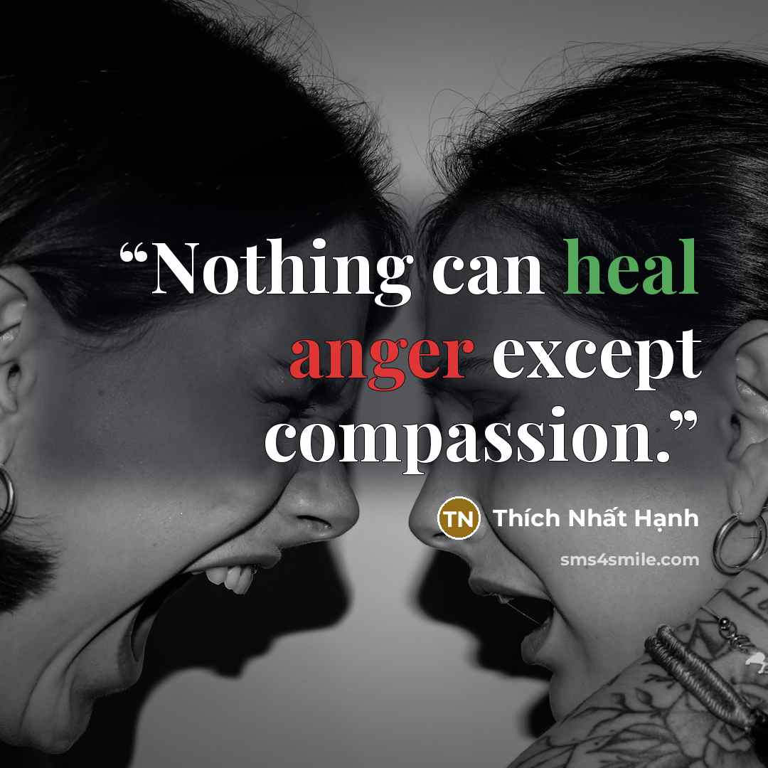 “Nothing can heal anger except compassion.” quote by Thích Nhất Hạnh