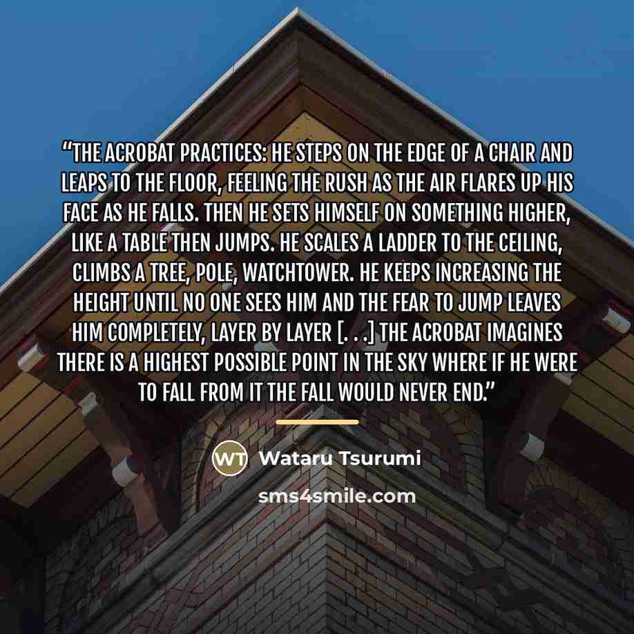“The acrobat practices: He steps on the edge of a chair and leaps to the floor, feeling the rush as the air flares up his face as he falls. Then he sets himself on something higher, like a table then jumps. He scales a ladder to the ceiling, climbs a tree, pole, watchtower. He keeps increasing the…” quote by Wataru Tsurumi