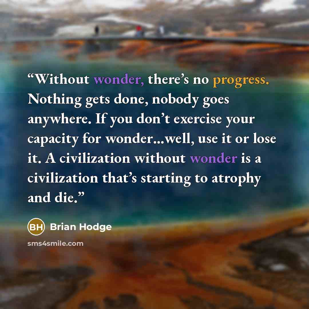 “Without wonder, there’s no progress. Nothing gets done, nobody goes anywhere. If you don’t exercise your capacity for wonder…well, use it or lose it. A civilization without wonder is a civilization that’s starting to atrophy and die.” quote by Brian Hodge