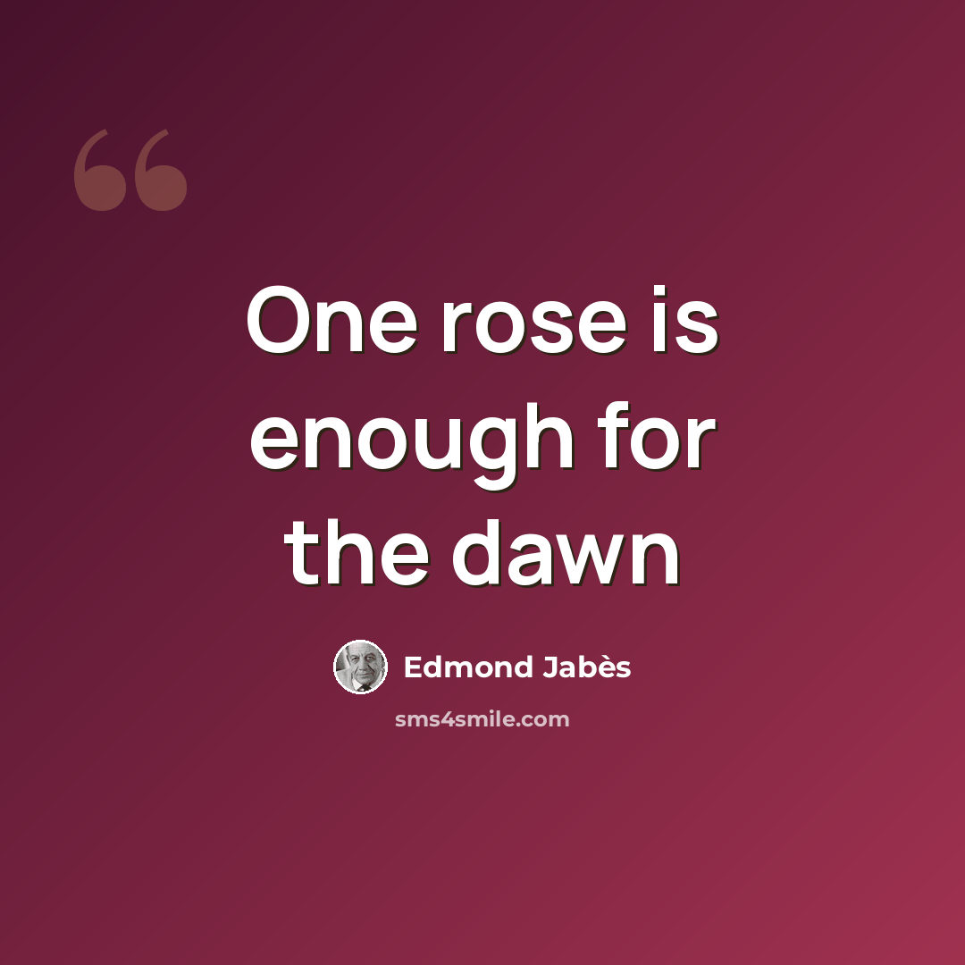 “One rose is enough for the dawn” quote by Edmond Jabes