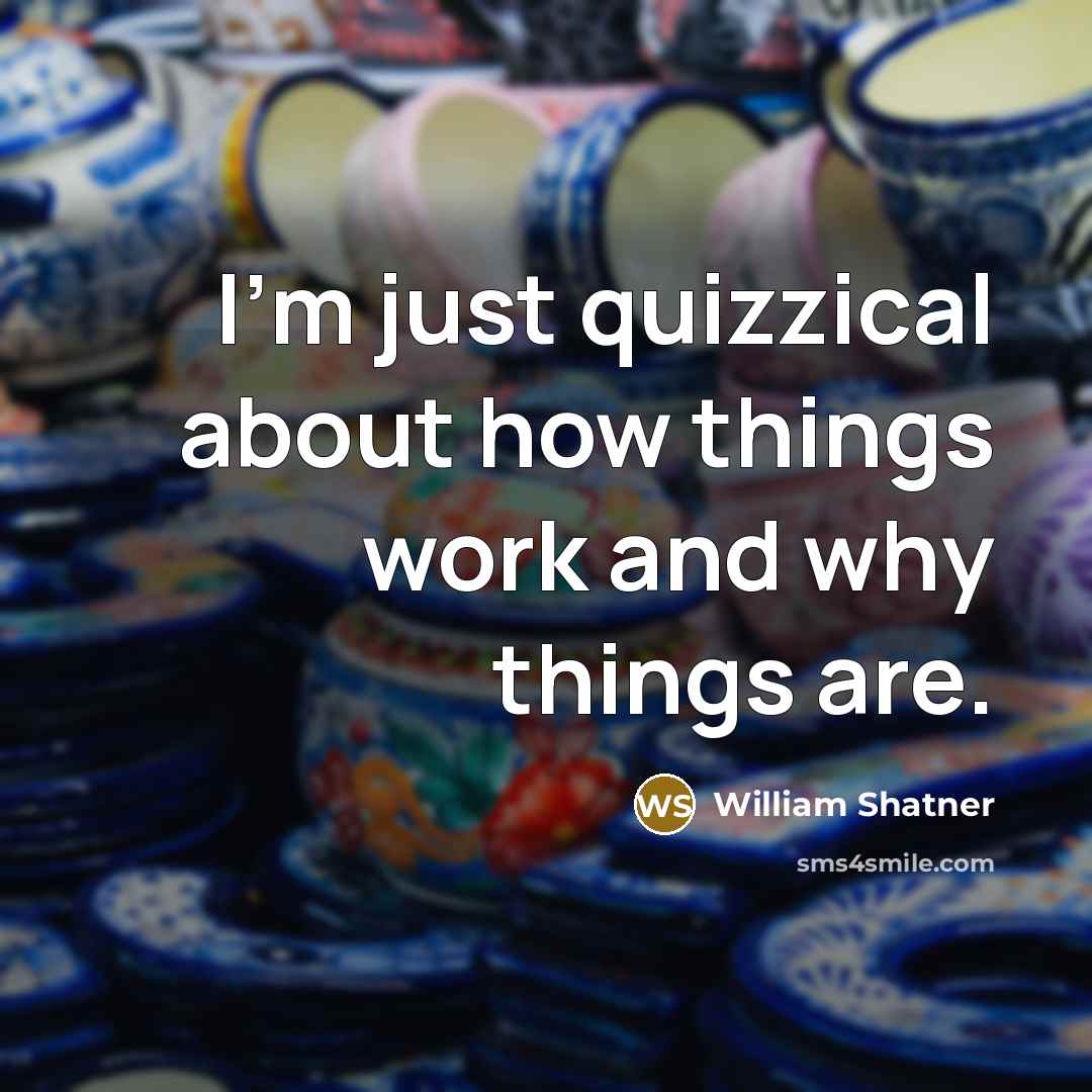 “I'm just quizzical about how things work and why things are.” quote by William Shatner