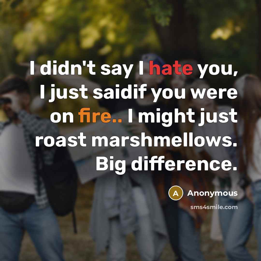 “I didn't say I hate you, I just saidif you were on fire.. I might just roast marshmellows. Big difference.” quote by Anonymous