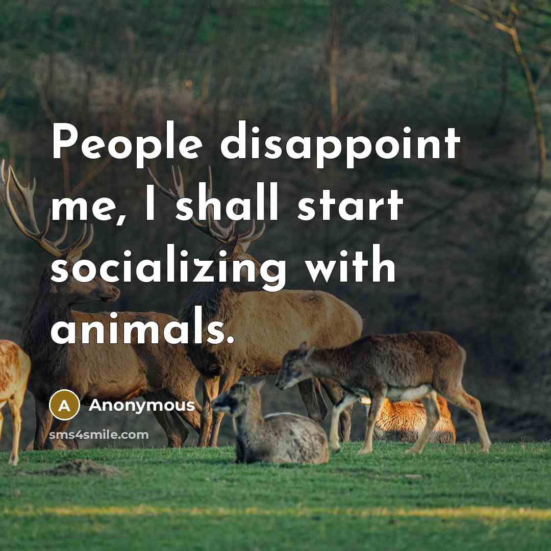 “People disappoint me, I shall start socializing with animals.” quote by Anonymous