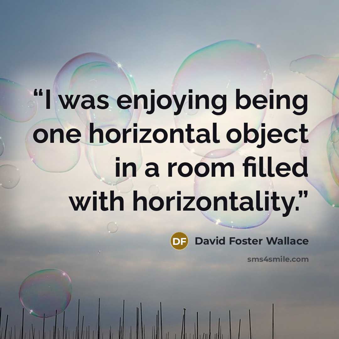 “I was enjoying being one horizontal object in a room filled with horizontality.” quote by David Foster Wallace