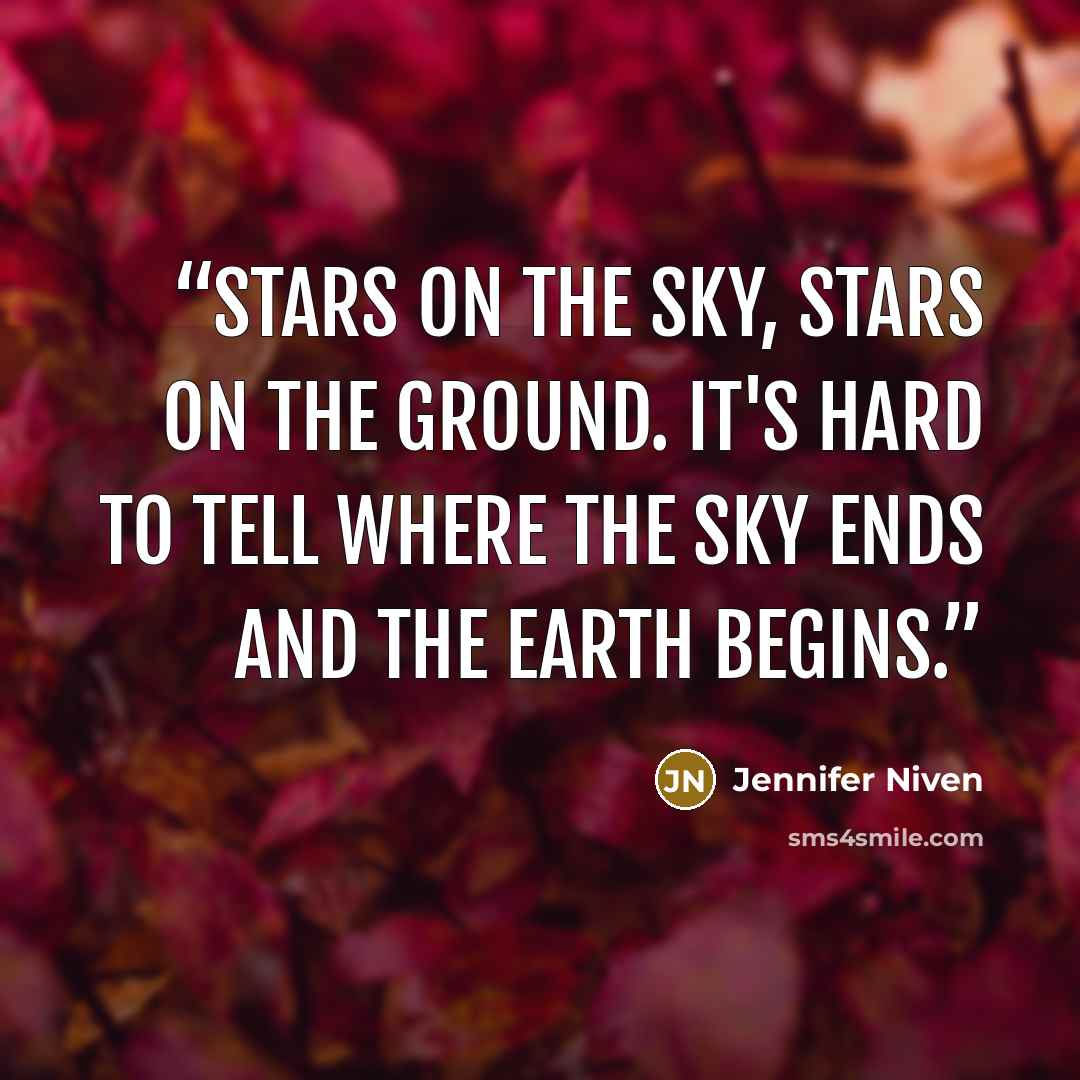 “Stars on the sky, stars on the ground. It's hard to tell where the sky ends and the earth begins.” quote by Jennifer Niven