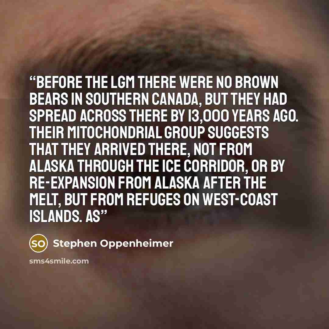 “Before the LGM there were no brown bears in southern Canada, but they had spread across there by 13,000 years ago. Their mitochondrial group suggests that they arrived there, not from Alaska through the ice corridor, or by re-expansion from Alaska after the melt, but from refuges on west-coast…” quote by Stephen Oppenheimer