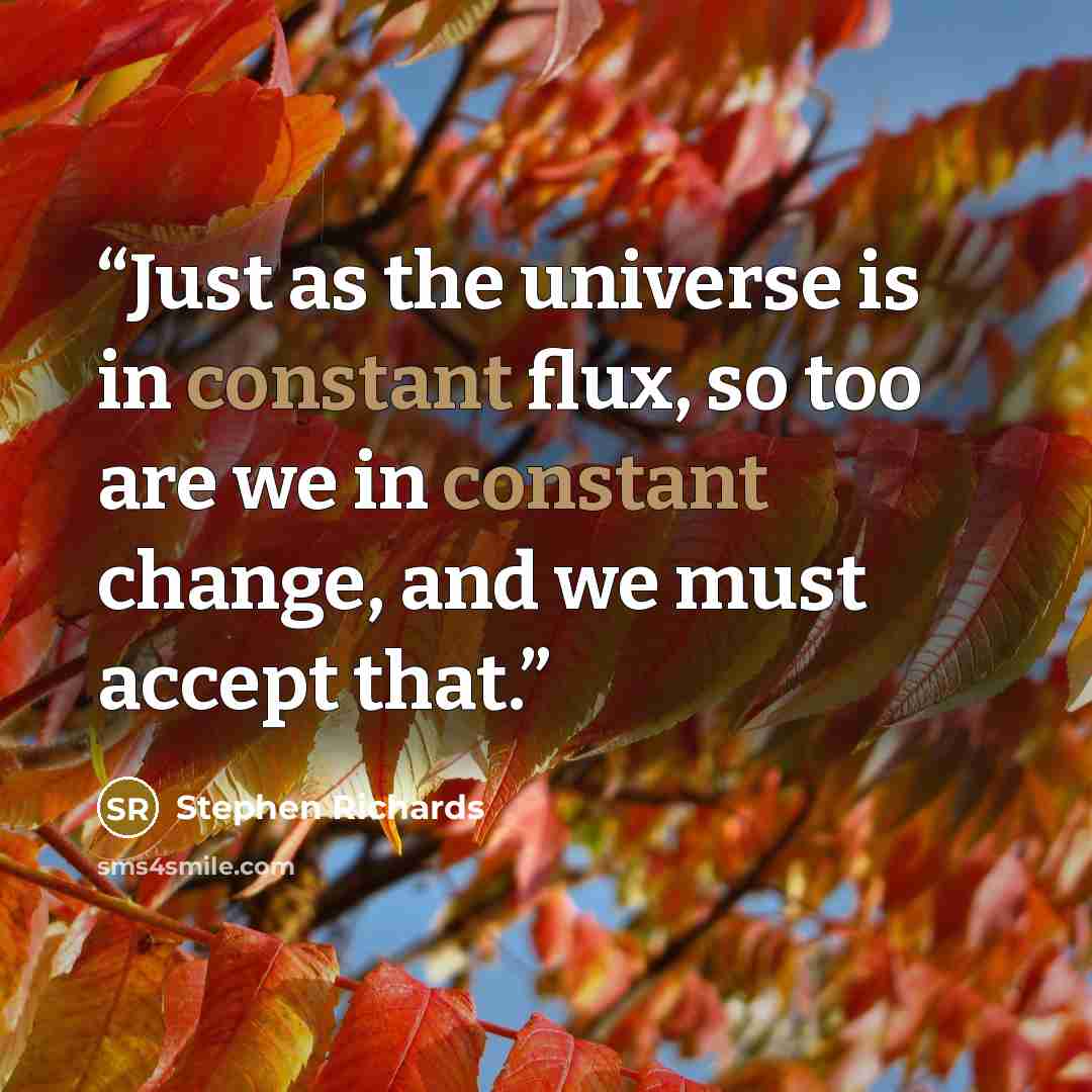 “Just as the universe is in constant flux, so too are we in constant change, and we must accept that.” quote by Stephen Richards