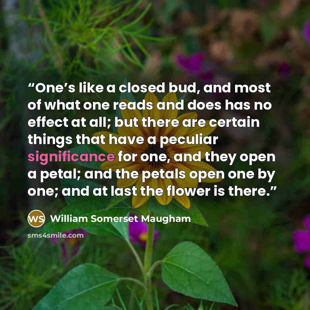“One’s like a closed bud, and most of what one reads and does has no effect at all; but there are certain things that have a peculiar significance for one, and they open a petal; and the petals open one by one; and at last the flower is there.” quote by William Somerset Maugham