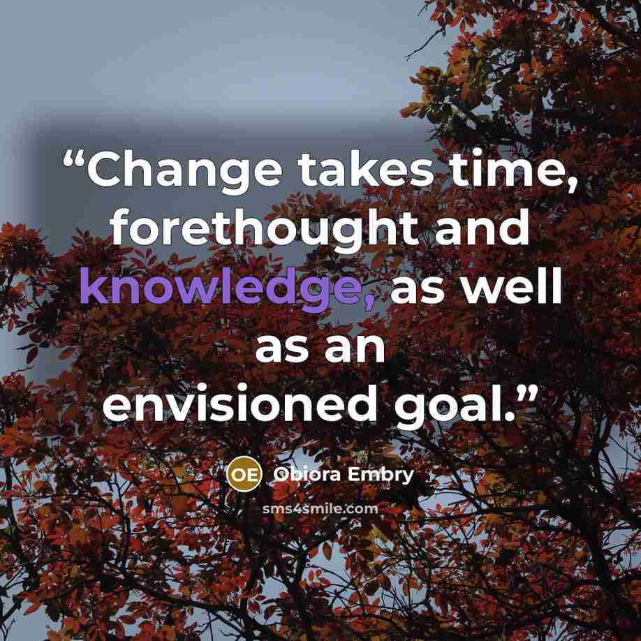 “Change takes time, forethought and knowledge, as well as an envisioned goal.” quote by Obiora Embry