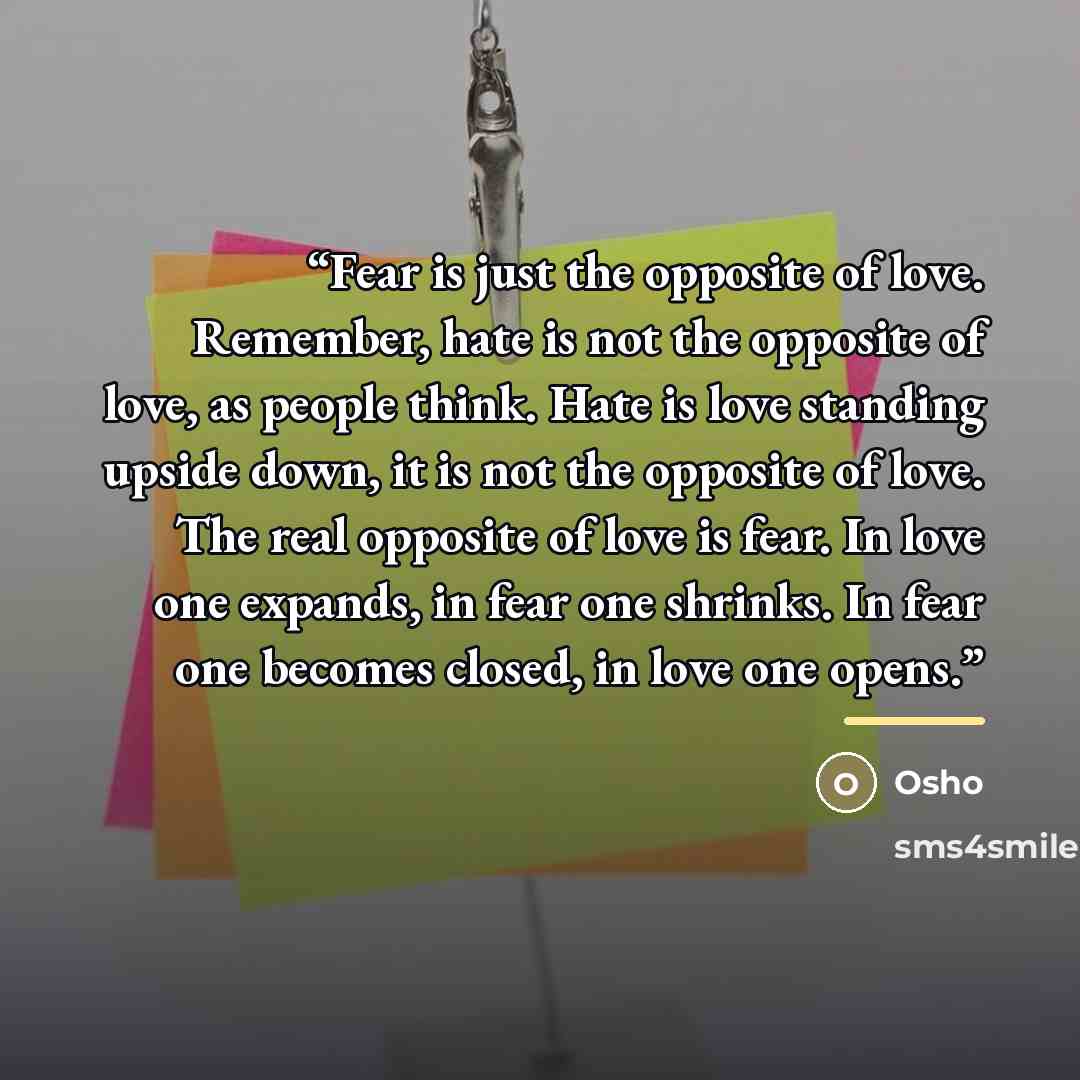 “Fear is just the opposite of love. Remember, hate is not the opposite of love, as people think. Hate is love standing upside down, it is not the opposite of love. The real opposite of love is fear. In love one expands, in fear one shrinks. In fear one becomes closed, in love one opens.” quote by Osho