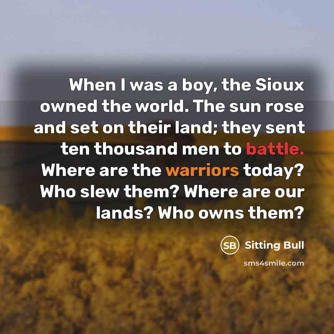 “When I was a boy, the Sioux owned the world. The sun rose and set on their land; they sent ten thousand men to battle. Where are the warriors today? Who slew them? Where are our lands? Who owns them?” quote by Sitting Bull