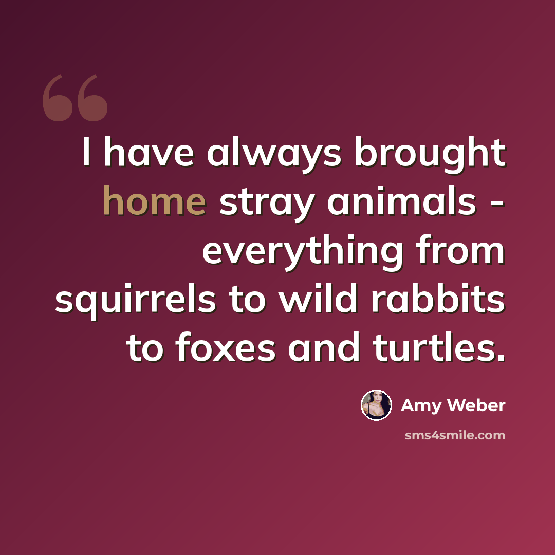 “I have always brought home stray animals - everything from squirrels to wild rabbits to foxes and turtles.” quote by Amy Weber