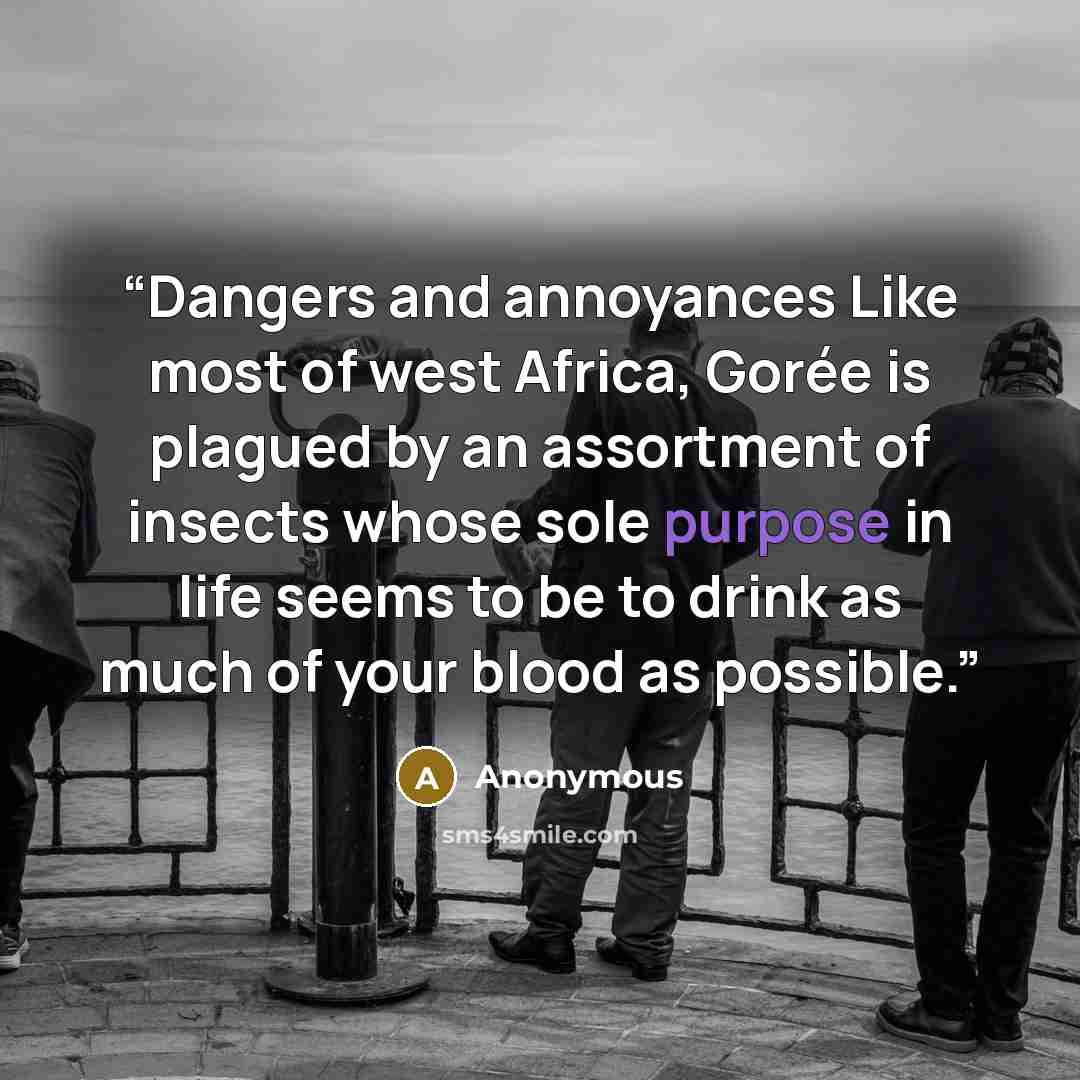 “Dangers and annoyances Like most of west Africa, Gorée is plagued by an assortment of insects whose sole purpose in life seems to be to drink as much of your blood as possible.” quote by Anonymous