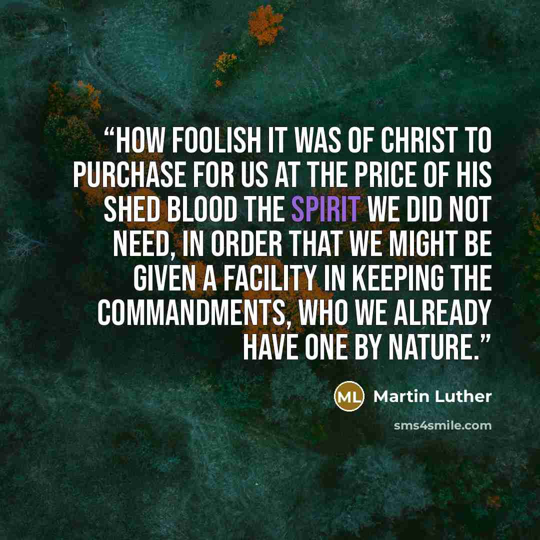 “How foolish it was of Christ to purchase for us at the price of his shed blood the Spirit we did not need, in order that we might be given a facility in keeping the commandments, who we already have one by nature.” quote by Martin Luther