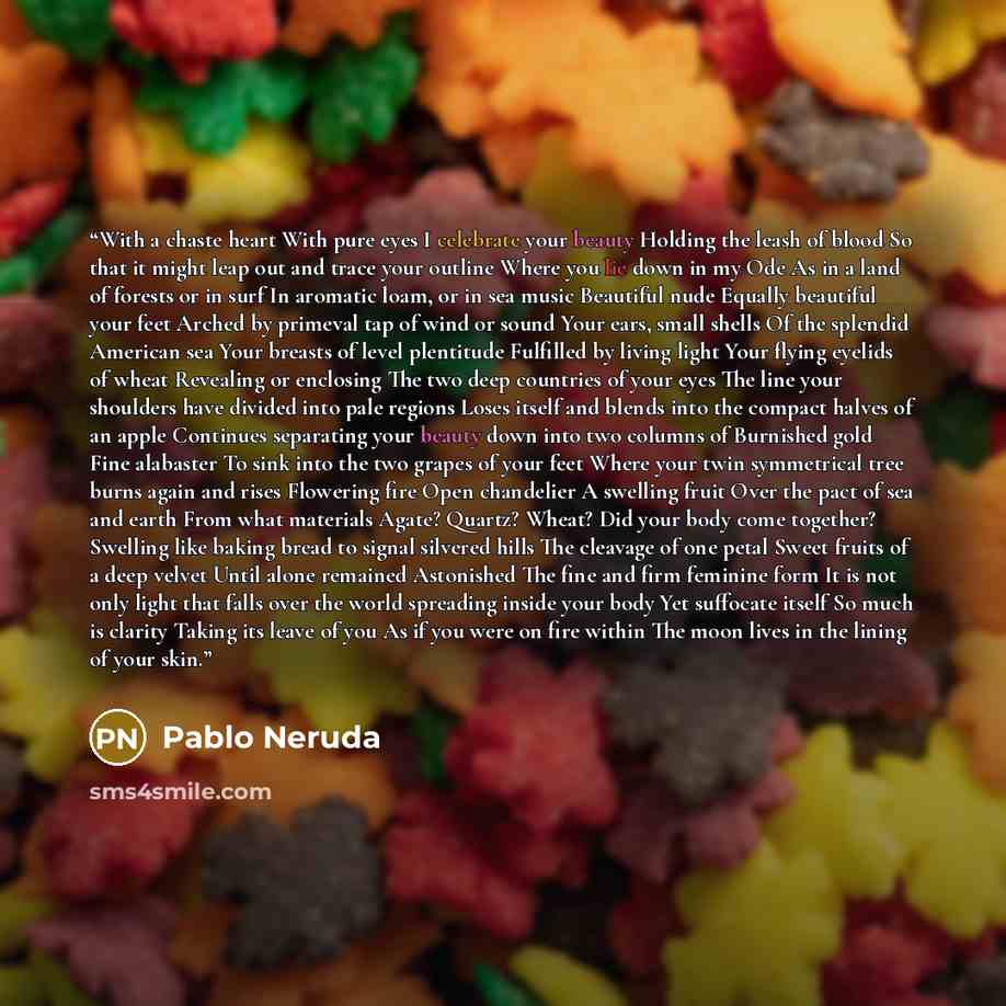 “With a chaste heart With pure eyes I celebrate your beauty Holding the leash of blood So that it might leap out and trace your outline Where you lie down in my Ode As in a land of forests or in surf In aromatic loam, or in sea music Beautiful nude Equally beautiful your feet Arched by primeval tap…” quote by Pablo Neruda