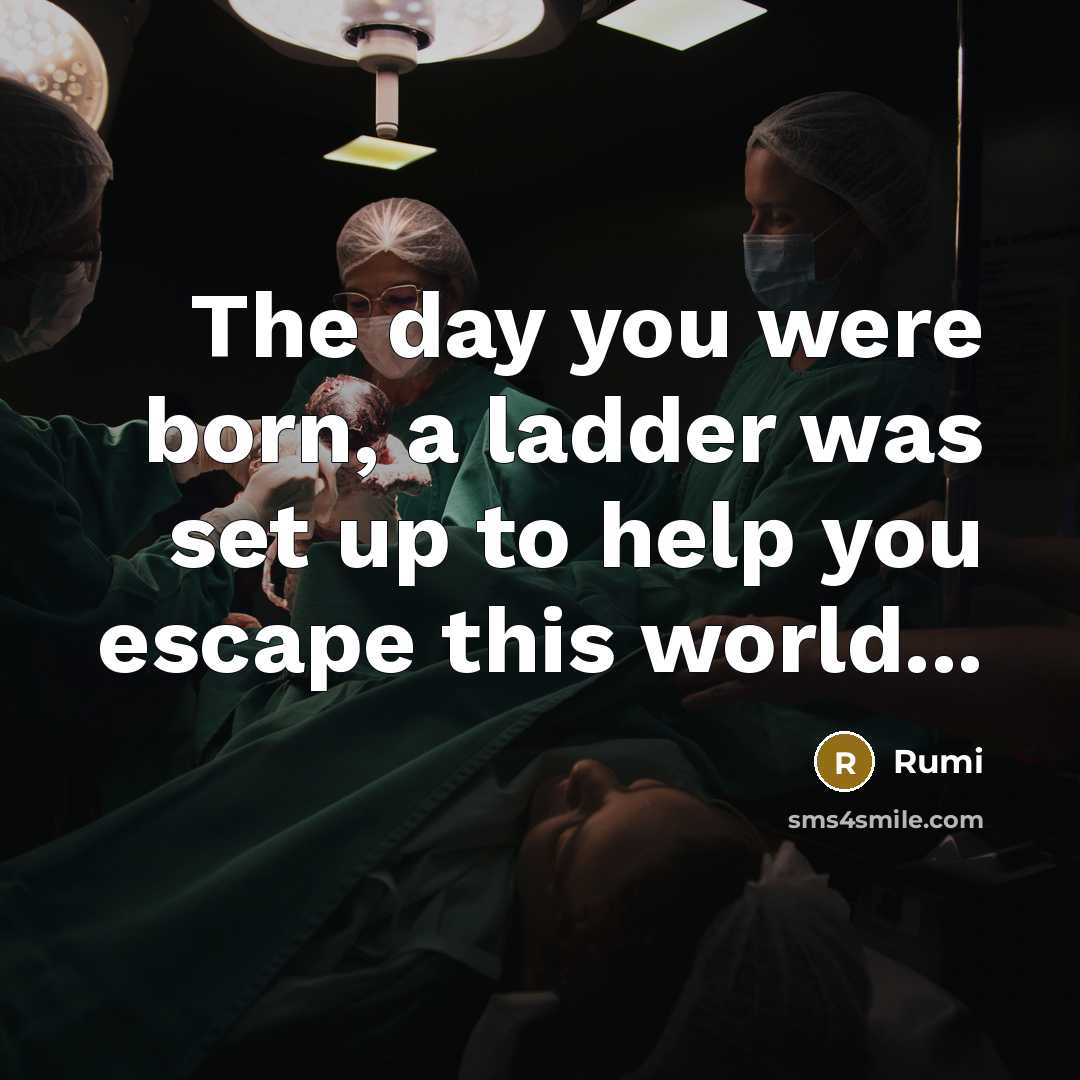 “The day you were born, a ladder was set up to help you escape this world...” quote by Rumi
