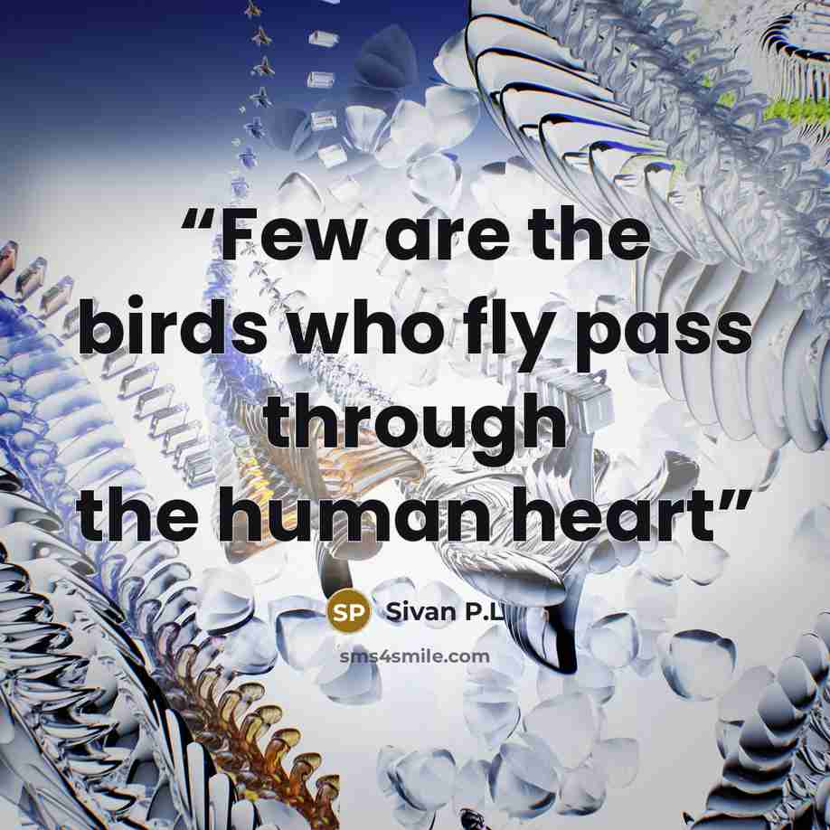 “Few are the birds who fly pass through the human heart” quote by Sivan P.L