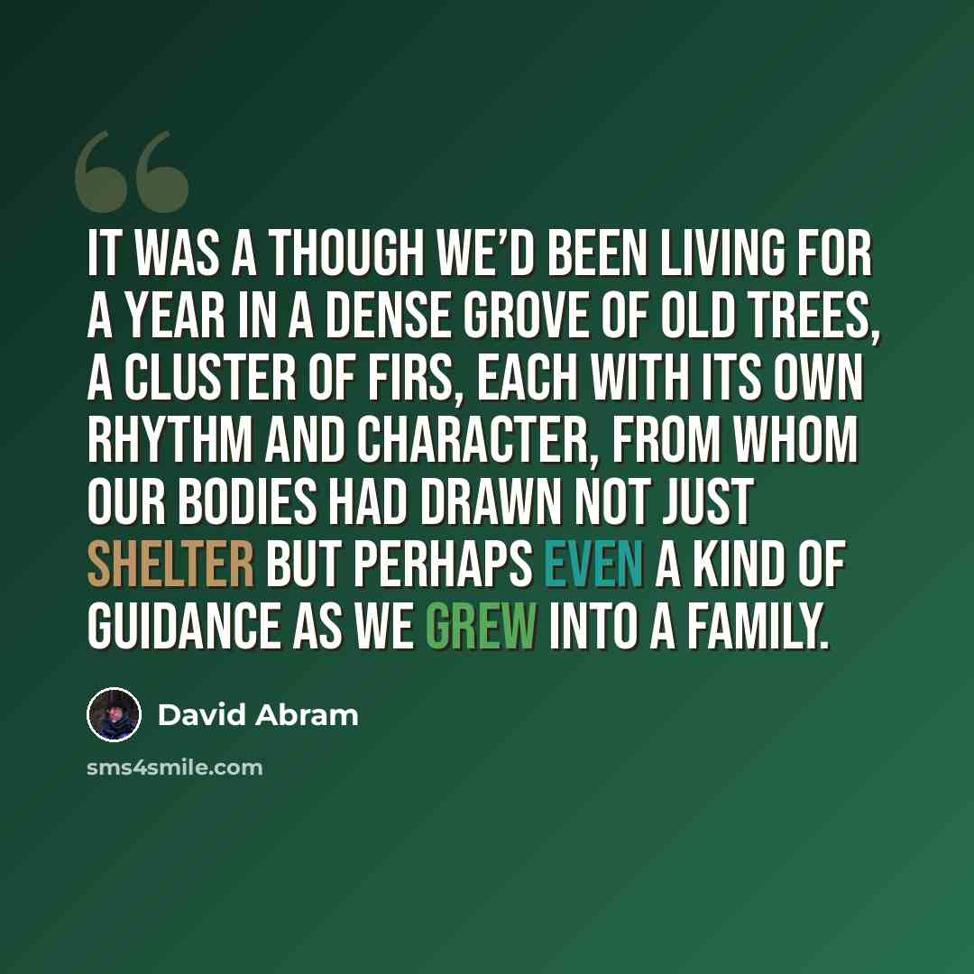 “It was a though we’d been living for a year in a dense grove of old trees, a cluster of firs, each with its own rhythm and character, from whom our bodies had drawn not just shelter but perhaps even a kind of guidance as we grew into a family.” quote by David Abram