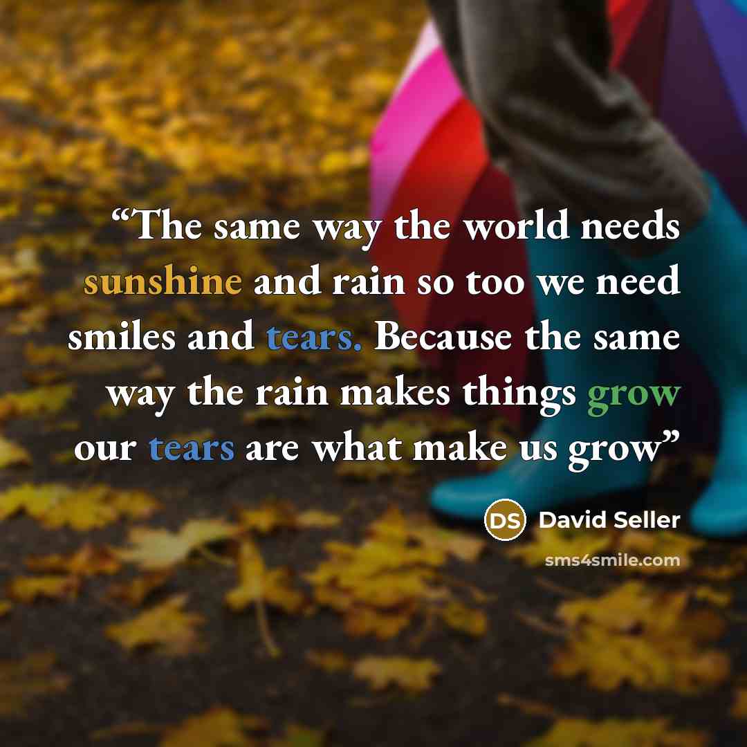 “The same way the world needs sunshine and rain so too we need smiles and tears. Because the same way the rain makes things grow our tears are what make us grow” quote by David Seller
