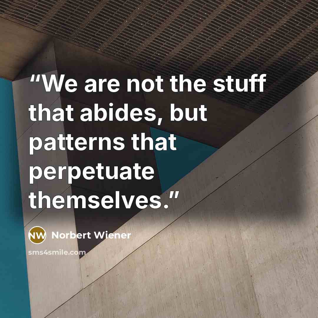 “We are not the stuff that abides, but patterns that perpetuate themselves.” quote by Norbert Wiener