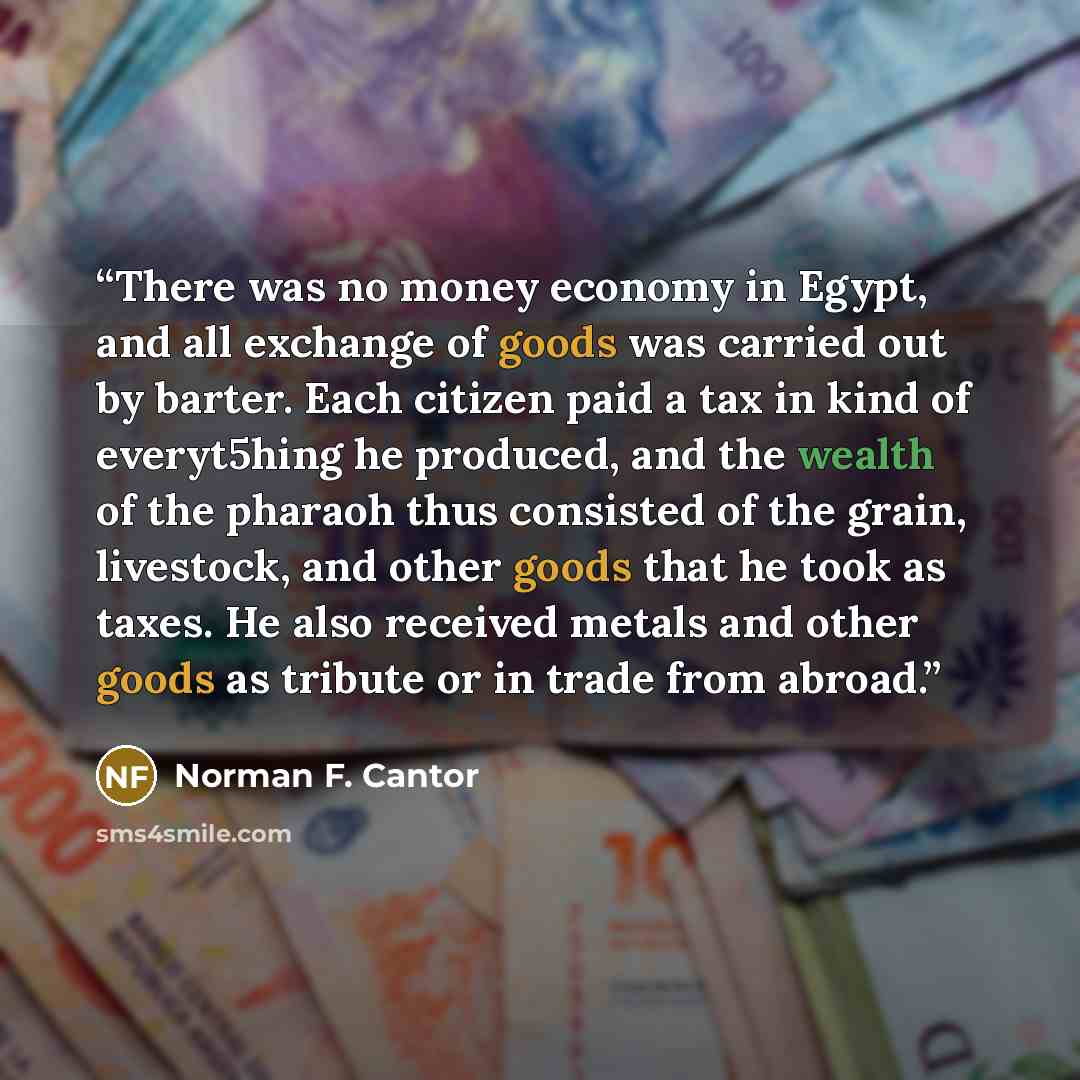 “There was no money economy in Egypt, and all exchange of goods was carried out by barter. Each citizen paid a tax in kind of everyt5hing he produced, and the wealth of the pharaoh thus consisted of the grain, livestock, and other goods that he took as taxes. He also received metals and other goods…” quote by Norman F. Cantor