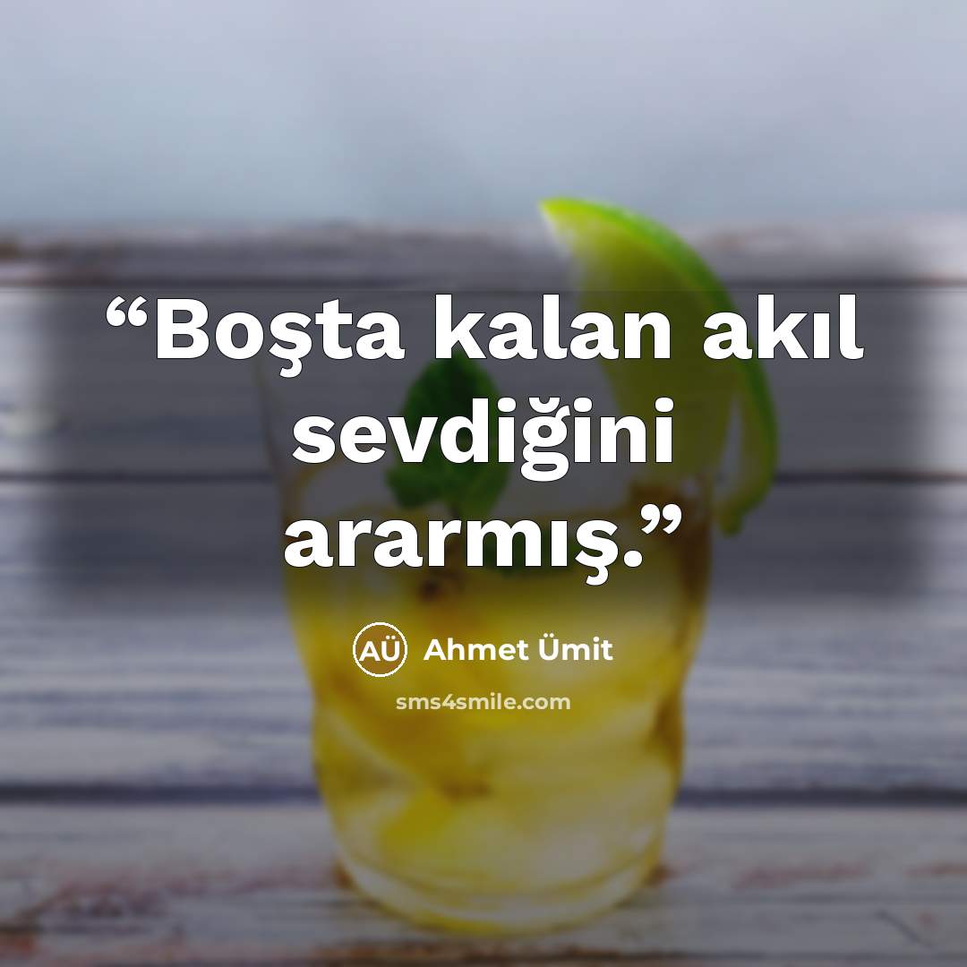 “Boşta kalan akıl sevdiğini ararmış.” quote by Ahmet Ümit