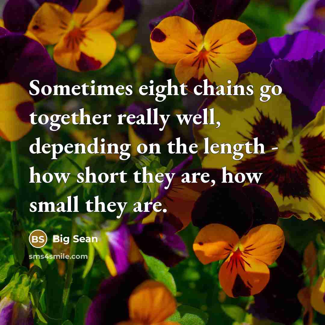 “Sometimes eight chains go together really well, depending on the length - how short they are, how small they are.” quote by Big Sean