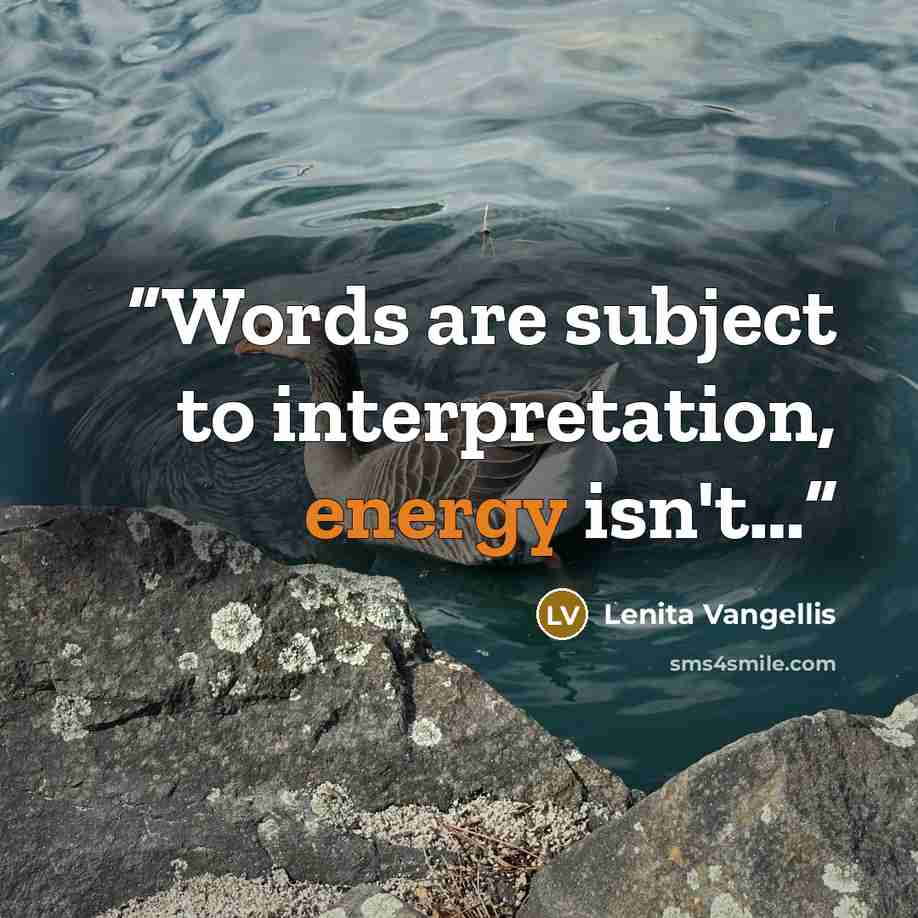 “Words are subject to interpretation, energy isn't…” quote by Lenita Vangellis