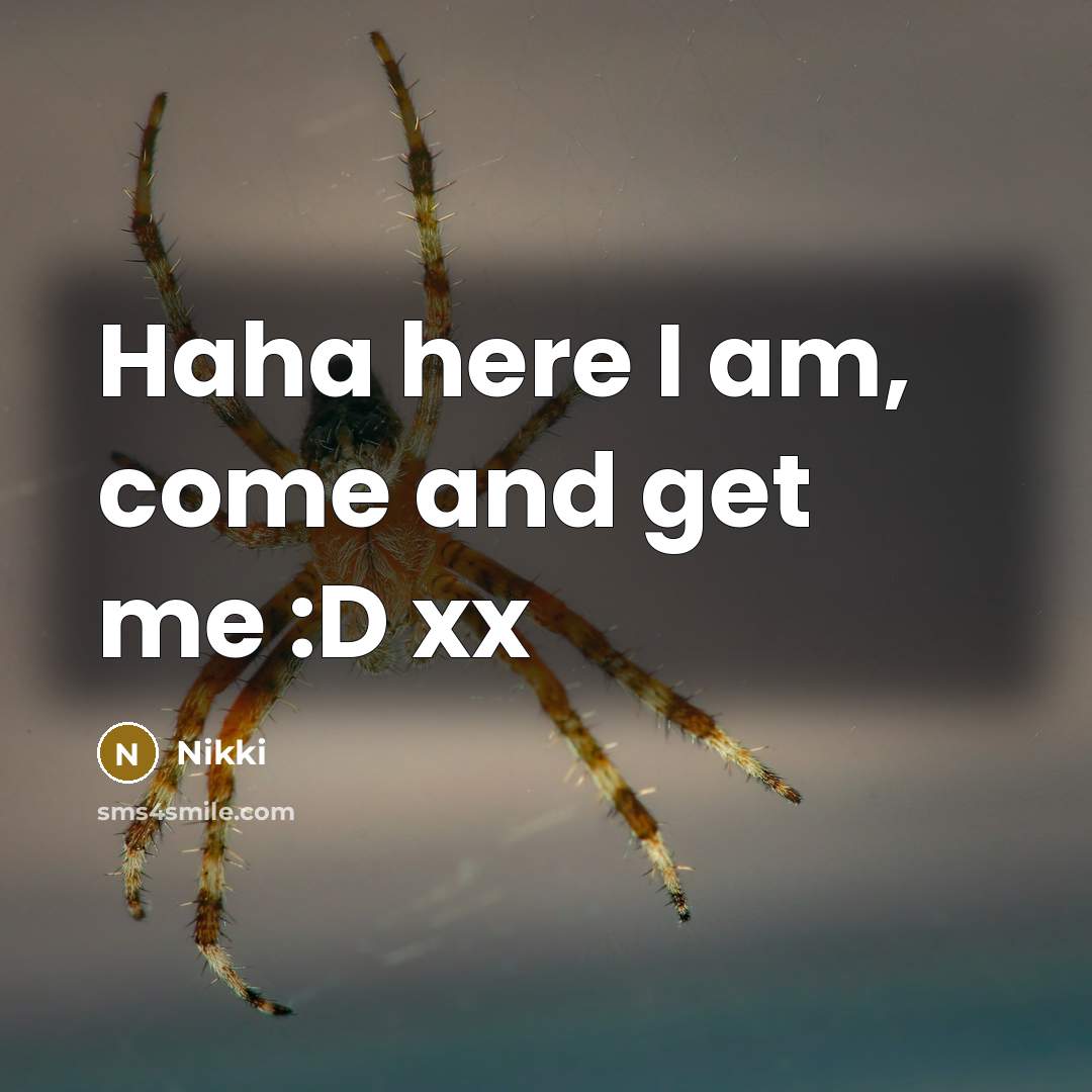 “Haha here I am, come and get me :D xx” quote by Nikki