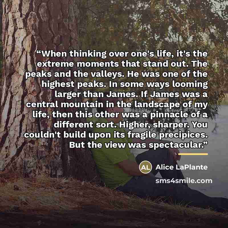 “When thinking over one's life, it's the extreme moments that stand out. The peaks and the valleys. He was one of the highest peaks. In some ways looming larger than James. If James was a central mountain in the landscape of my life, then this other was a pinnacle of a different sort. Higher…” quote by Alice LaPlante